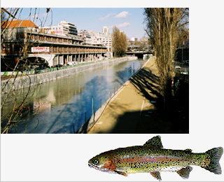 200112_canal_saint_martin_20.jpg