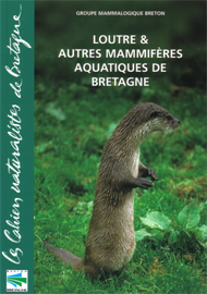 200505_loutres.jpg
