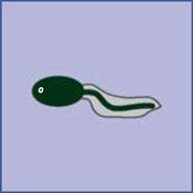 200804_larmesmagiques_3.jpg