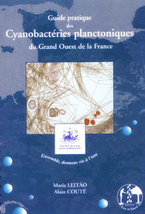 200504_cyanobacteries.jpg