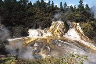199910_newzealand_11.jpg