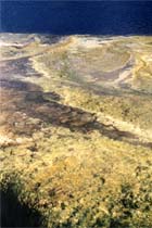 199910_newzealand_12.jpg
