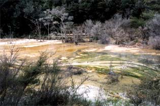 199910_newzealand_14.jpg