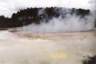 199910_newzealand_21.jpg