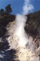 199910_newzealand_22.jpg