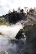 199910_newzealand_26.jpg