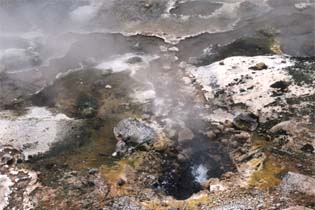 199910_newzealand_31.jpg