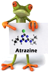 2007_PICRI_atrazine.gif