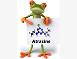 2007_PICRI_atrazine_a.jpg