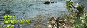 201112_rhonemediterranee.jpg