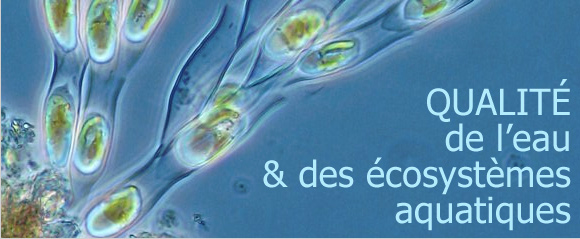 201202_inra_ecosystemes_itl1.jpg
