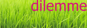 201302_dilemme.jpg