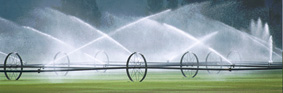 201302_irrigation.jpg