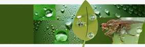 200804_opur.jpg