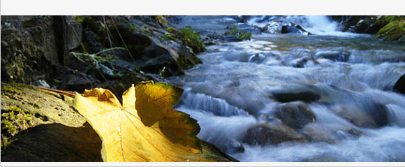 201007_montagne_itl_4.jpg