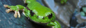 201210_cresurloir.jpg