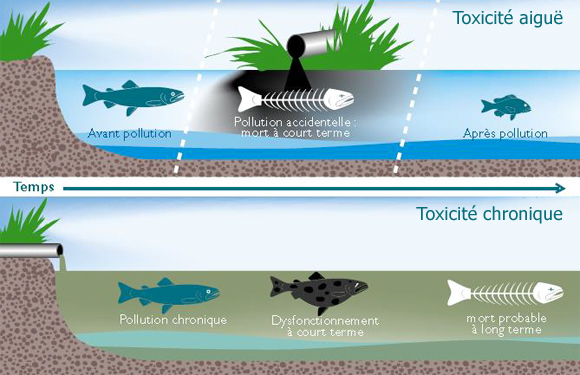 201408_aesn_micropolluants_toxicite.jpg 201408_aesn_micropolluants_toxicite.jpg