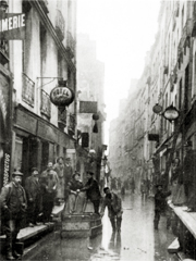 2008_PICRI_bievre_02.jpg
