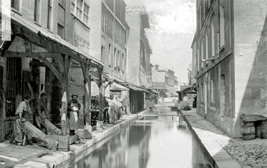 2008_PICRI_bievre_03.jpg