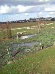 2008_PICRI_bievre_R2.jpg