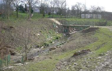 2008_PICRI_bievre_R3.jpg