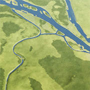 2008_PICRI_bievre_infoABPimpaud.jpg