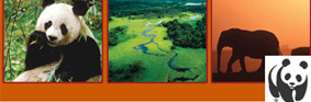 200312_wwf.jpg