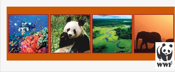 200312_wwf_itl.jpg