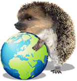 201006_spontex.jpg