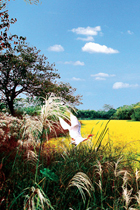 201108_xixi_1.jpg
