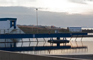 201110_alger_2.jpg