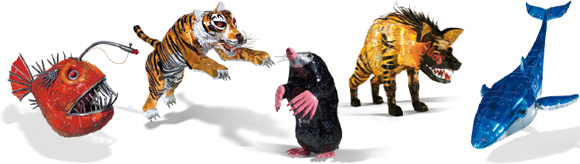 201111_duodebestioles_164.jpg