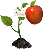 201201_agriculturedurable.gif