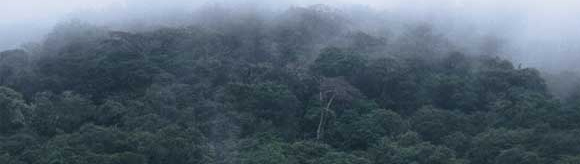 201204_congo_164.jpg