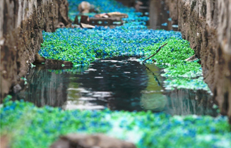 201204_zhengzhou_2.jpg