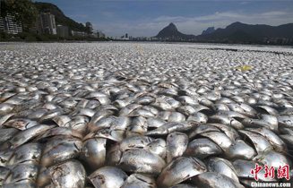 201303_rio_1.jpg