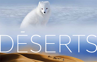 202501_deserts.jpg 202501_deserts.jpg