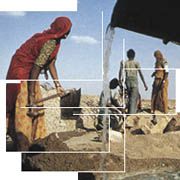 Travaux sur le canal Indira Gandhi, en Inde.